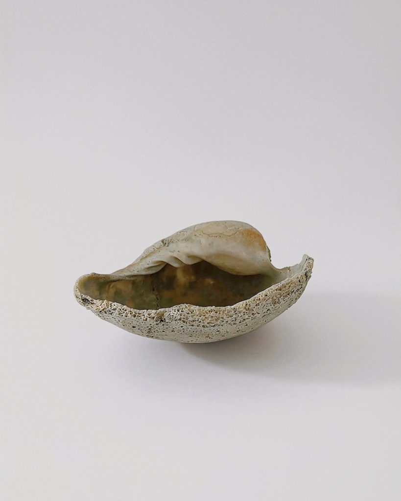 Unknown Origin <br> Natural Sea Shell <br> Sold Out