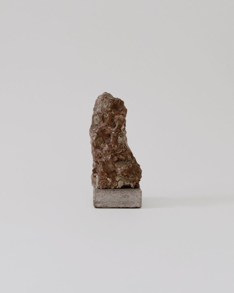 Anonymous <br> Ammonite Fossile Sculpture no. 2 <br> Sold Out