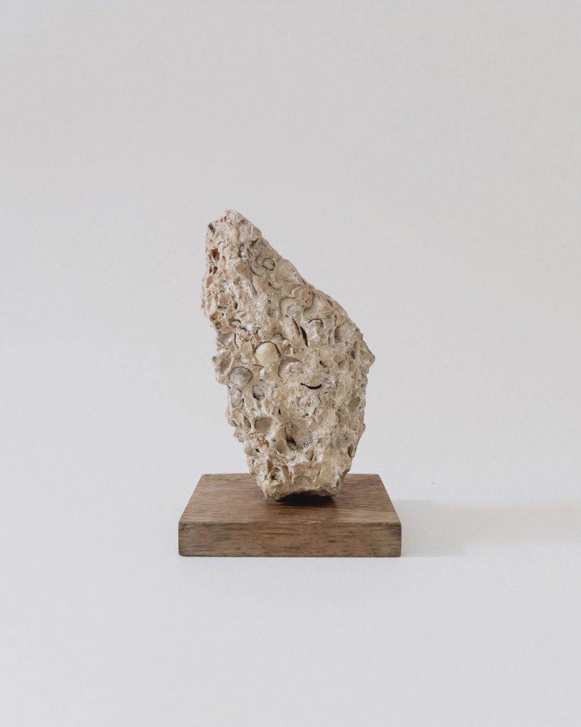 Ancient Fossile Sculpture
