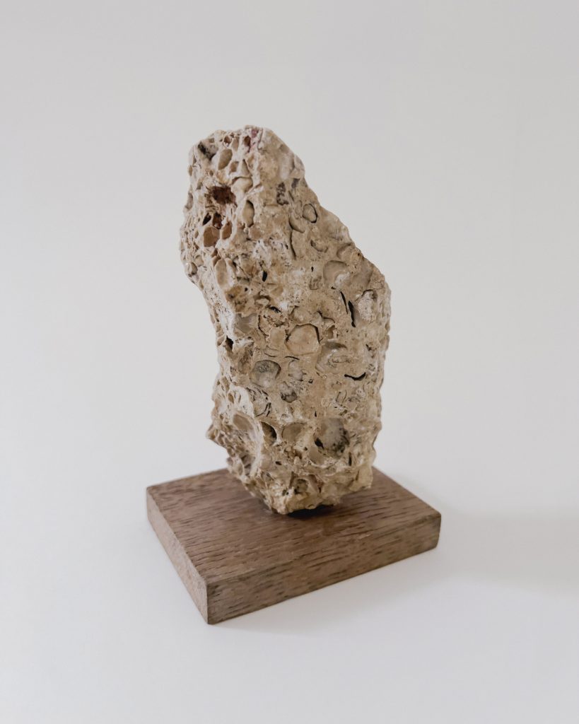 Ancient Fossile Sculpture